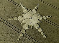 Fauna & Flora: crop circle