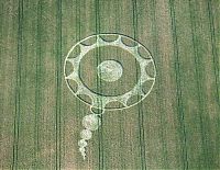 Fauna & Flora: crop circle