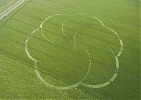 TopRq.com search results: crop circle