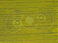 TopRq.com search results: crop circle