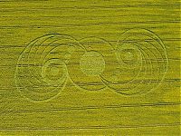 Fauna & Flora: crop circle