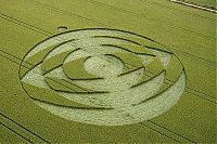 Fauna & Flora: crop circle