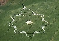 Fauna & Flora: crop circle