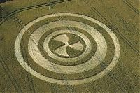 TopRq.com search results: crop circle