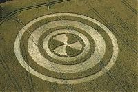 Fauna & Flora: crop circle