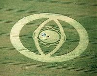 Fauna & Flora: crop circle