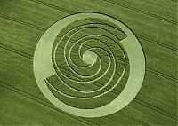 TopRq.com search results: crop circle
