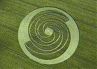 Fauna & Flora: crop circle