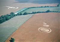 Fauna & Flora: crop circle