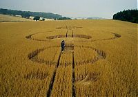 Fauna & Flora: crop circle