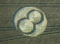 Fauna & Flora: crop circle