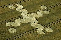 Fauna & Flora: crop circle