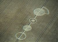 Fauna & Flora: crop circle