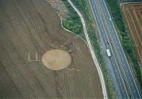 Fauna & Flora: crop circle