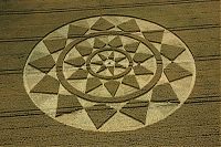 Fauna & Flora: crop circle