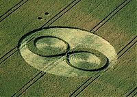 Fauna & Flora: crop circle