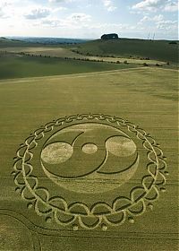 Fauna & Flora: crop circle