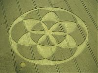 Fauna & Flora: crop circle