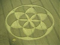 Fauna & Flora: crop circle