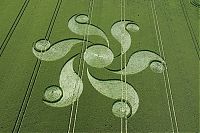 Fauna & Flora: crop circle