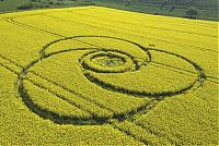 Fauna & Flora: crop circle