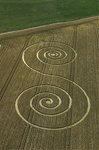 Fauna & Flora: crop circle