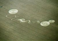 Fauna & Flora: crop circle