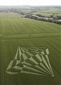 Fauna & Flora: crop circle