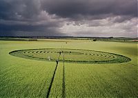 Fauna & Flora: crop circle