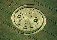 Fauna & Flora: crop circle