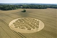 Fauna & Flora: crop circle