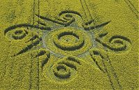 Fauna & Flora: crop circle