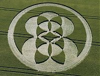 Fauna & Flora: crop circle