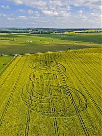 Fauna & Flora: crop circle