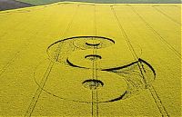 Fauna & Flora: crop circle