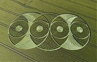 Fauna & Flora: crop circle