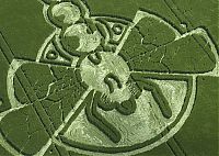 Fauna & Flora: crop circle