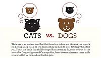 Fauna & Flora: infographics about cats and dogs