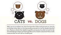 TopRq.com search results: infographics about cats and dogs