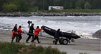 Fauna & Flora: Moose rescue operation, Tallinn, Estonia