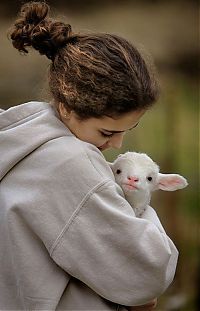 Fauna & Flora: cute baby pet animal