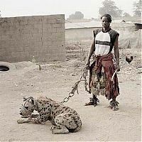 Fauna & Flora: African pets, Nigeria