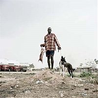 TopRq.com search results: African pets, Nigeria