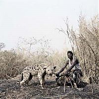 TopRq.com search results: African pets, Nigeria