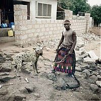 TopRq.com search results: African pets, Nigeria