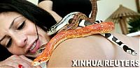 Fauna & Flora: snake massage
