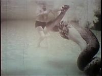 TopRq.com search results: History: Underwater fight with a 20 ft Anaconda