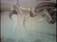 TopRq.com search results: History: Underwater fight with a 20 ft Anaconda