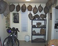 TopRq.com search results: Wasp nest collection by Terry Prouty