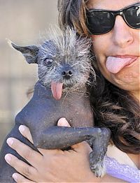 Fauna & Flora: World's Ugliest Dog Contest 2010, Petaluma, California, United States